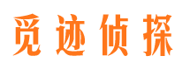 带岭市婚外情调查